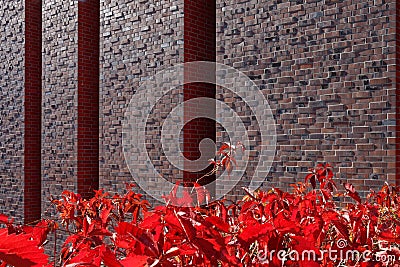 Wall of the best concert hall in Poland Editorial Stock Photo