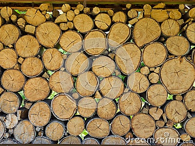 A wall of birch blocks. The ends of the wood create a natural texture Stock Photo