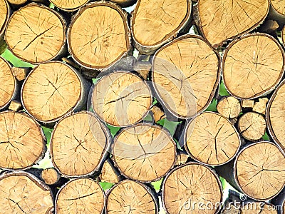 A wall of birch blocks. The ends of the wood create a natural texture Stock Photo