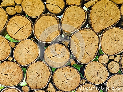 A wall of birch blocks. The ends of the wood create a natural texture Stock Photo