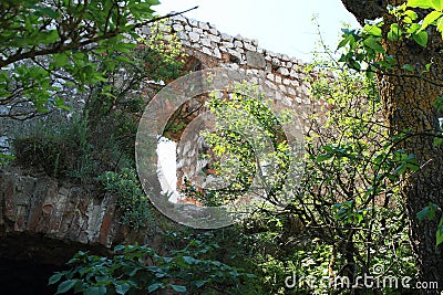 Wall of Castle Devicky on Palava Stock Photo