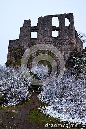 Wall of cattle ruins with frost covered plants Editorial Stock Photo