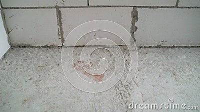 Wall and floor texture. Floors before treatment. Concrete floors in a new apartment. over view repair cracked floor before Stock Photo