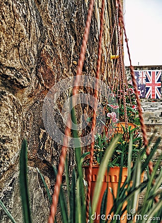 wall flower london flag Stock Photo