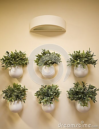 Wall flowers decoration Stock Photo