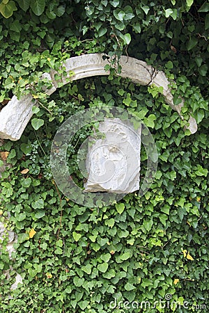 wall hidden under winding ivy with an ancient stone figure Stock Photo