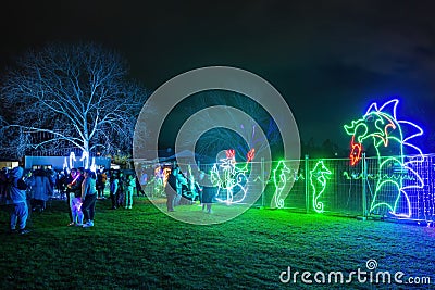 Colorful nighttime lighting displays in an Auckland, New Zealand park Editorial Stock Photo