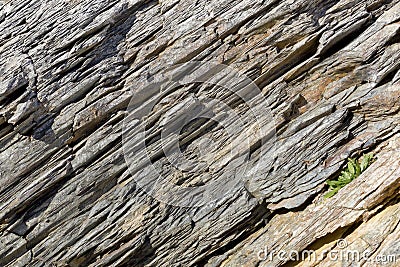 Wall of metamorphic rock Stock Photo