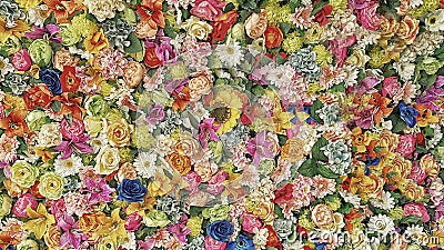 Wall of multicolored flowers Stock Photo