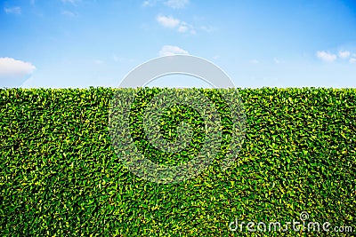 Wall ornamental with blue sky. Stock Photo