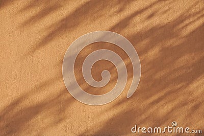 background wall shadow leaves brown orange Stock Photo