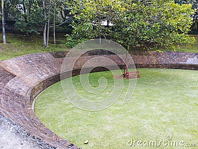 Wall spiral garden green tree Stock Photo