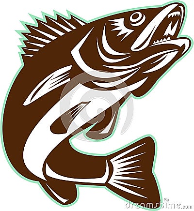 Walleye Fish Jumping Isolated Retro Vector Illustration