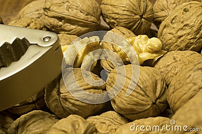 Wallnuts Stock Photo