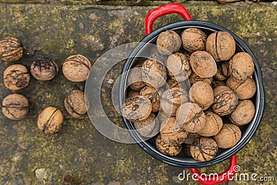 Wallnuts in a red metal bowl Stock Photo