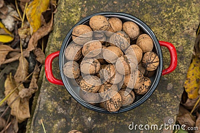 Wallnuts in a red metal bowl Stock Photo