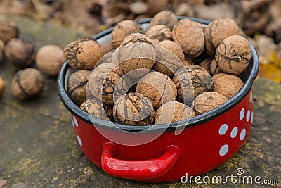 Wallnuts in a red metal bowl Stock Photo