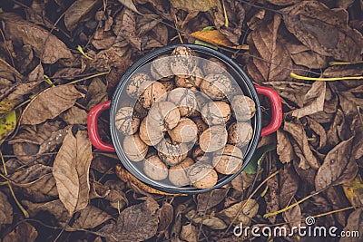 Wallnuts in a red metal bowl Stock Photo