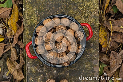 Wallnuts in a red metal bowl Stock Photo