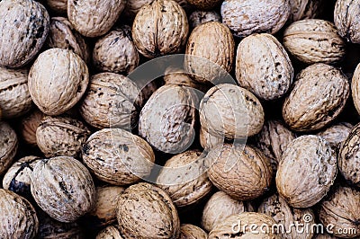 Wallnuts Stock Photo