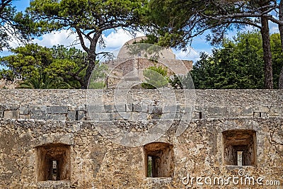 He walls on the coniferous trees and the blue sky background Stock Photo