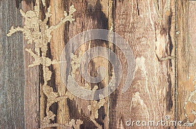 Walls, old wood termites. Stock Photo