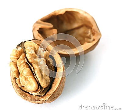 Walnut in closeup Stock Photo