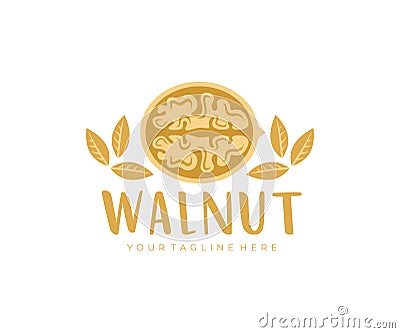 Walnut, cracked walnut, walnuts kernels, logo design. Nut, food, plant and leaves, vector design Vector Illustration