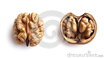 Walnut Halves Showing Perfect Brain-Like Structure Inside Shell Stock Photo