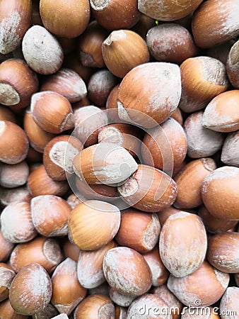 Walnut hazelnut kernel hazel taste food Stock Photo