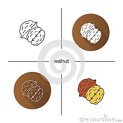 Walnut icon Vector Illustration