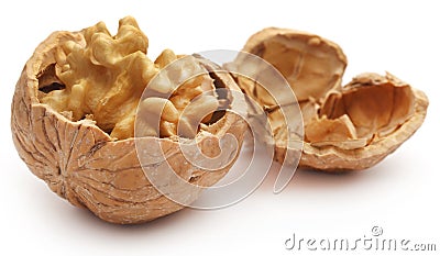 Walnut isolated Stock Photo