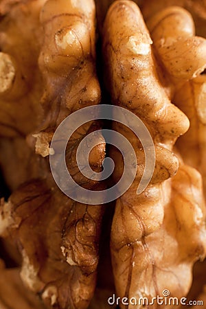 Walnut Kernel Stock Photo