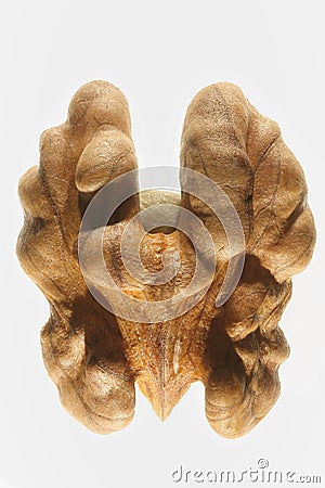 Walnut kernel Stock Photo