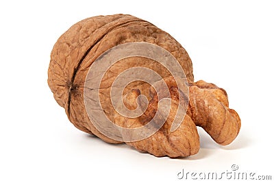 Walnut kernel and whole walnut Stock Photo