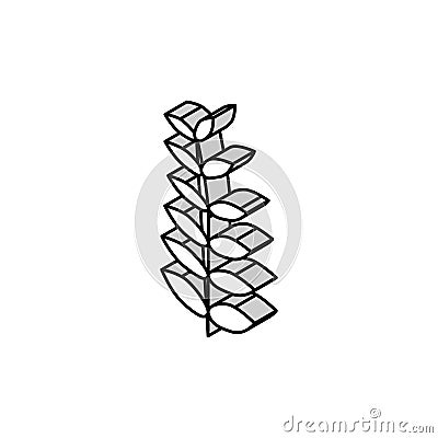 walnut leaf isometric icon vector illustration Vector Illustration