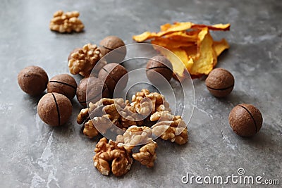 walnut and macadamia. brown on gray. dried fruits. Stock Photo