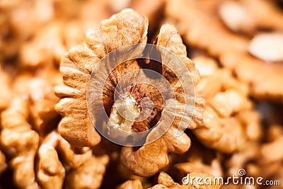 Walnut macro Stock Photo