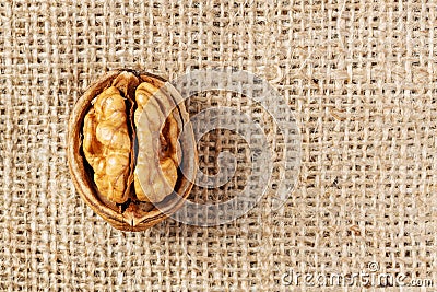 Walnut macro shot. Texture shell. Rural style Stock Photo