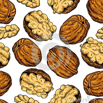 Walnut nuts vector hand drawn seamless pattern. Artistic colorful sketch food objects. Vector Illustration