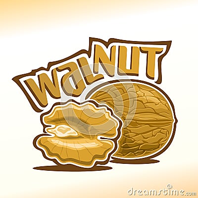 Walnut nuts Vector Illustration