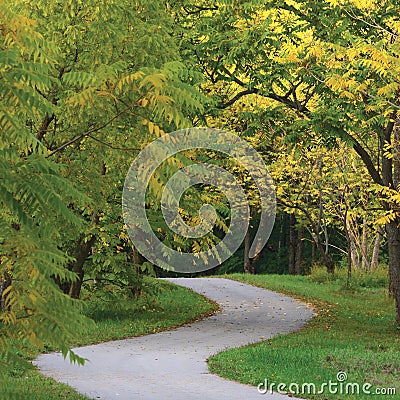 Walnut Trees In Autumnal Park, Large Detailed Vertical Landscaped Autumn Path Scene, Twisting Tarmac Walkway, Winding Asphalt Road Stock Photo