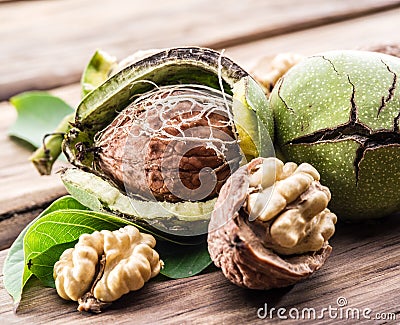 Walnut and walnut kernel. Stock Photo