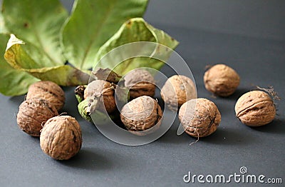 Walnut, walnuts in shell, brown, fresh walnut, diet Stock Photo