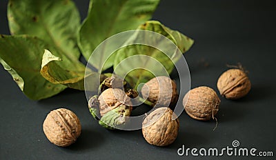 Walnut, walnuts in shell, brown, fresh walnut, diet Stock Photo