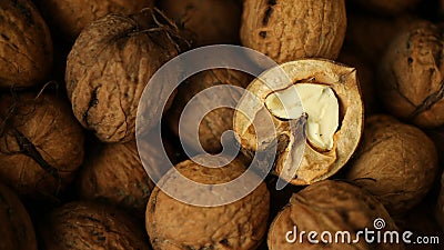 Walnut, walnuts in shell, brown, fresh walnut, diet Stock Photo
