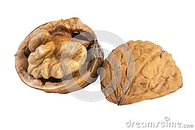 Walnut on the white background. Close up shot of whole walnut isolated on white background. Single walnut whole on a white backgro Stock Photo