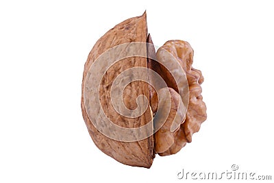 Walnut Stock Photo