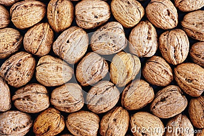 Walnuts Stock Photo