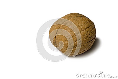 Walnuts Stock Photo